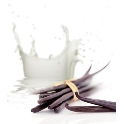 Shampoo per cani delicato Urban Dog